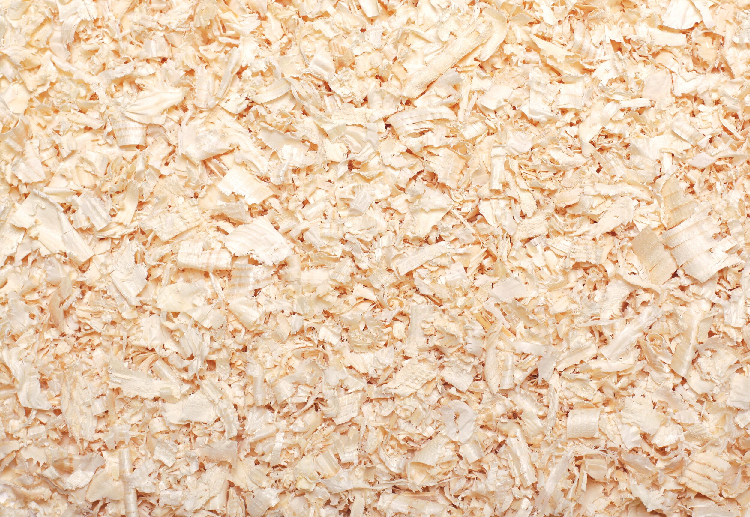 A close-up view of a pile of brown wood chips, showcasing their texture and natural color variations