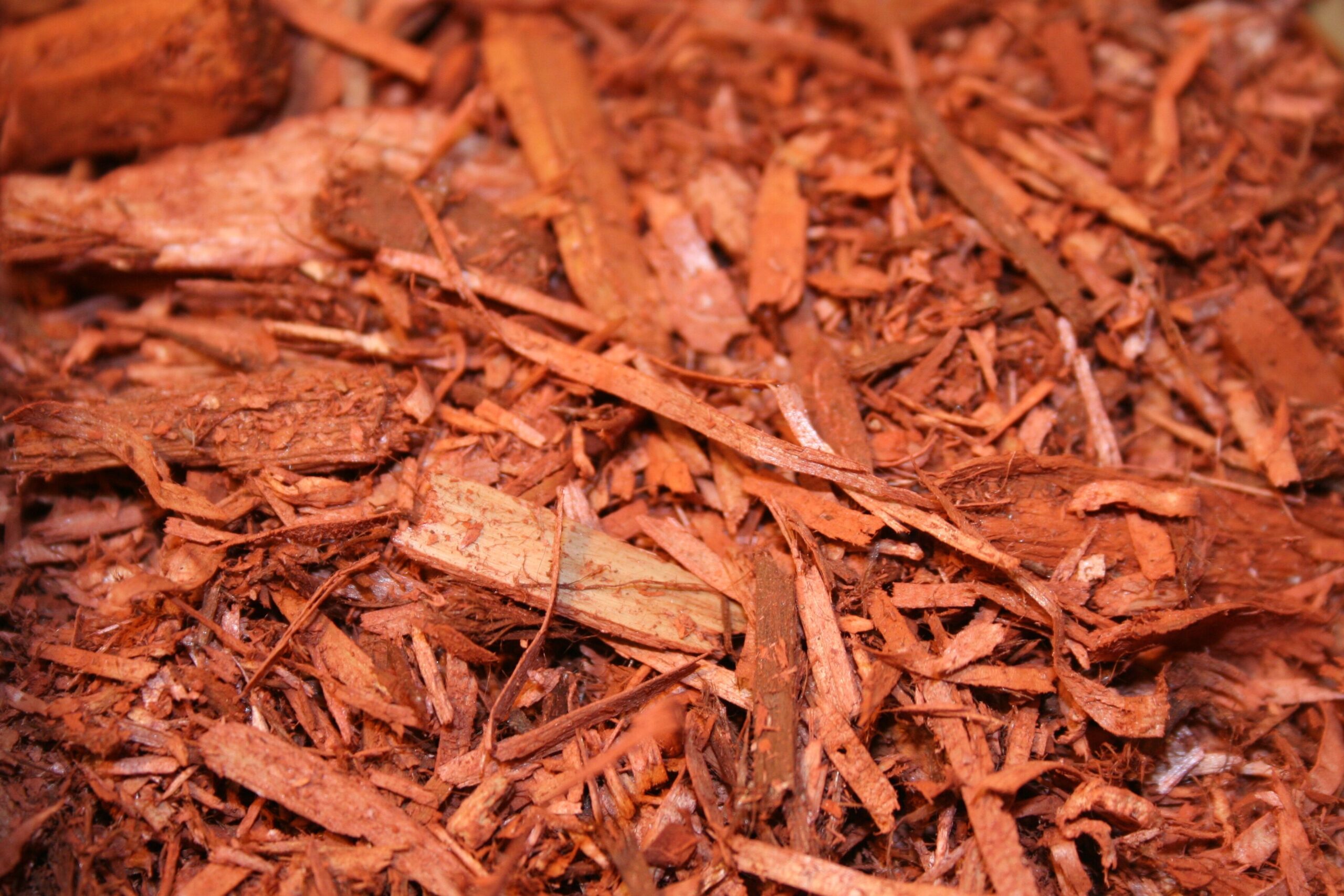 Close-up of a pile of wood chips, showcasing their texture and varying shades of brown