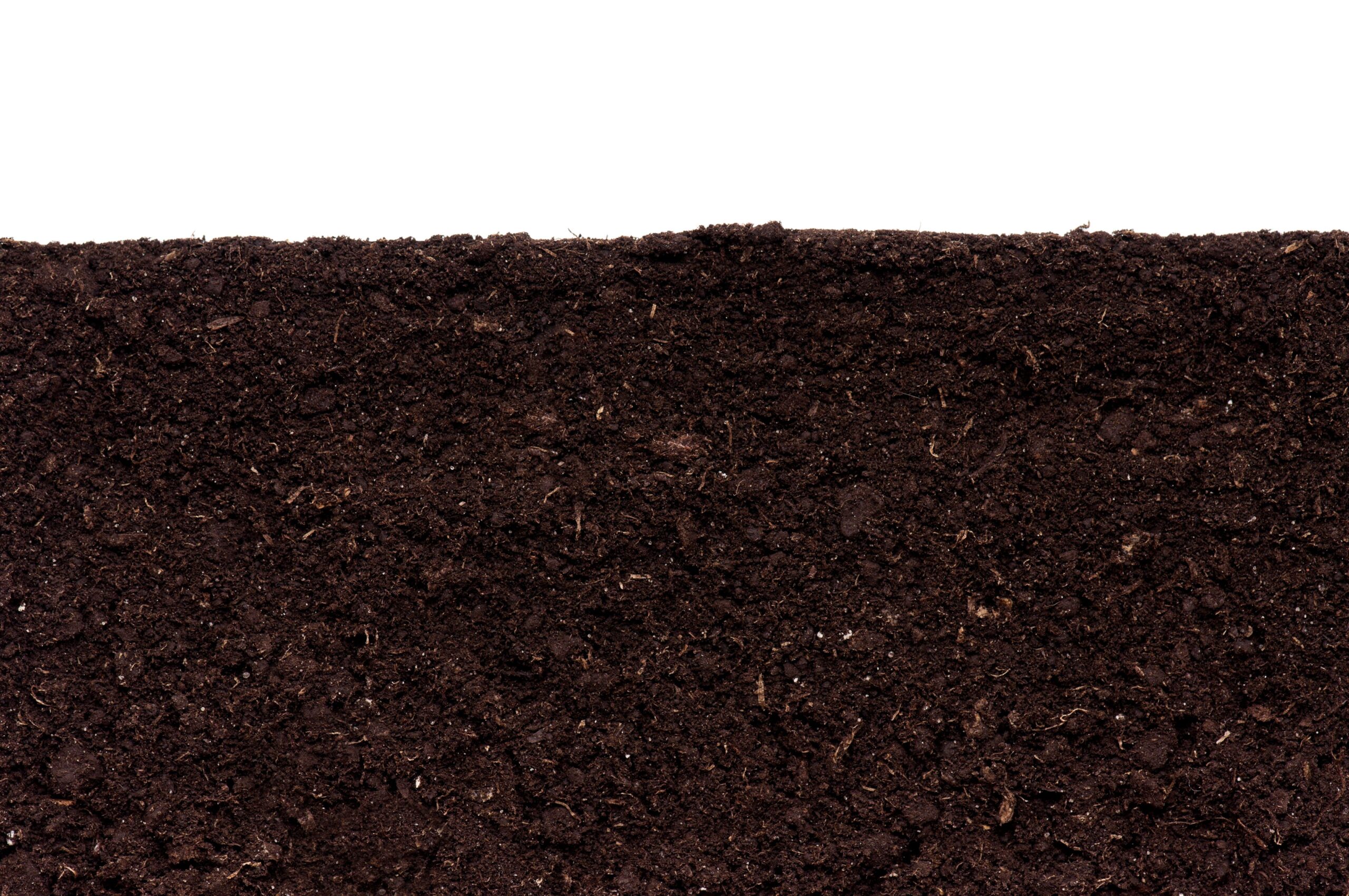 Compost