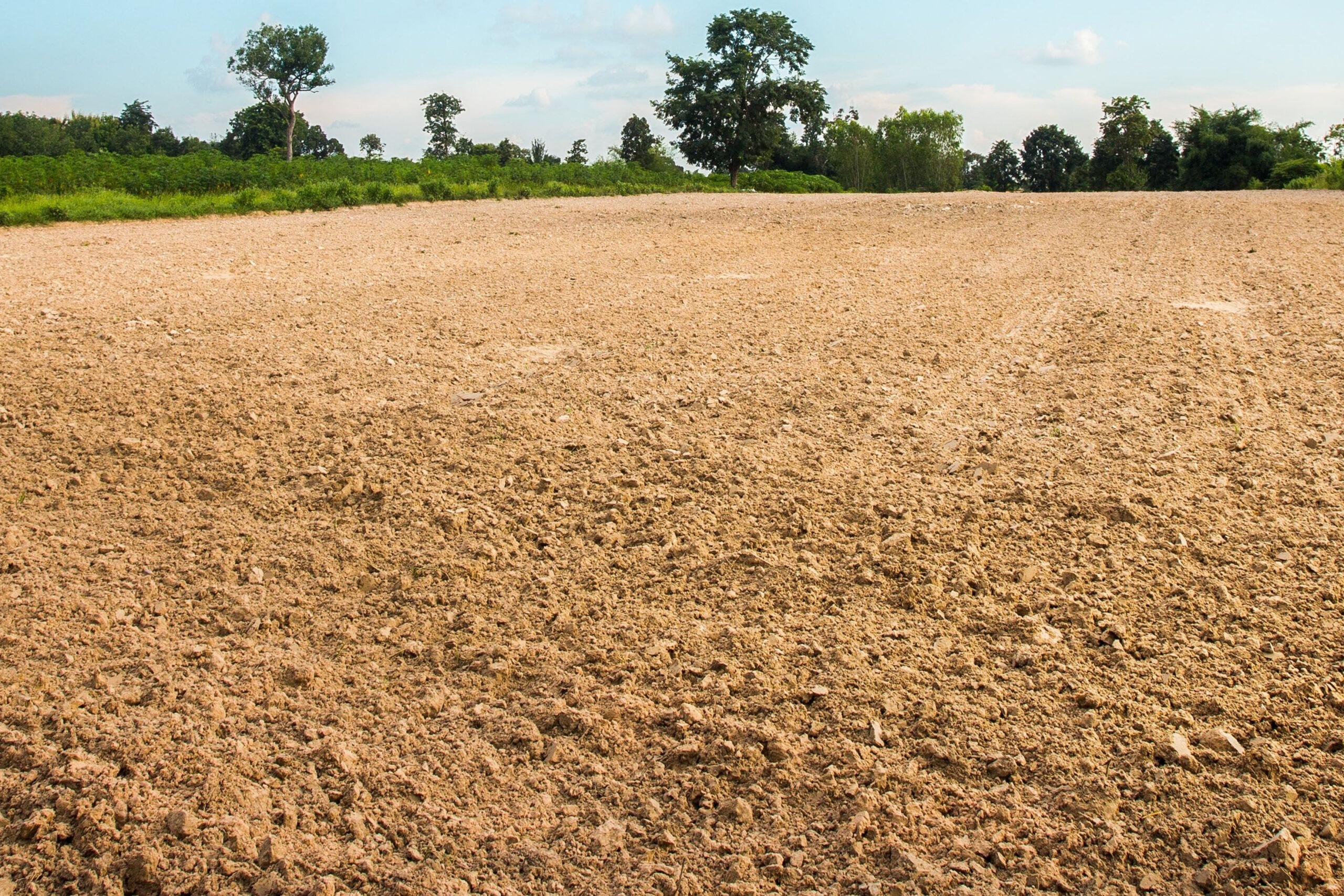 Soil