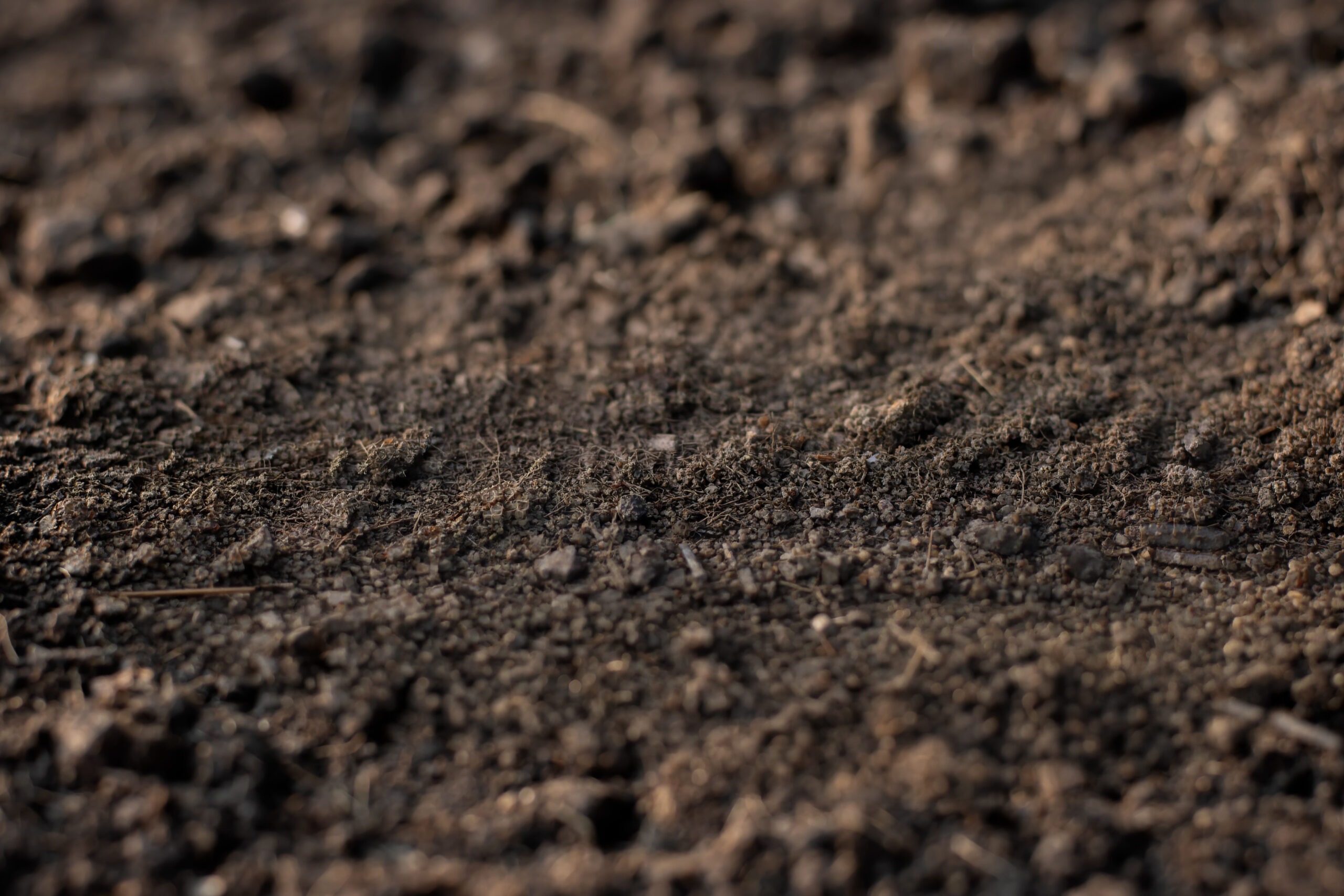 Close-up view of a dirt surface, showcasing various textures and small pebbles embedded within the soil