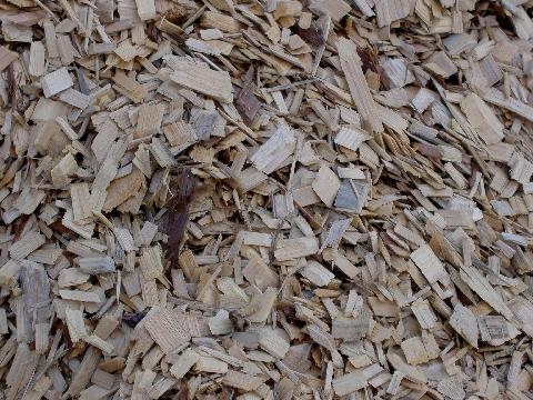 Cypress Chips